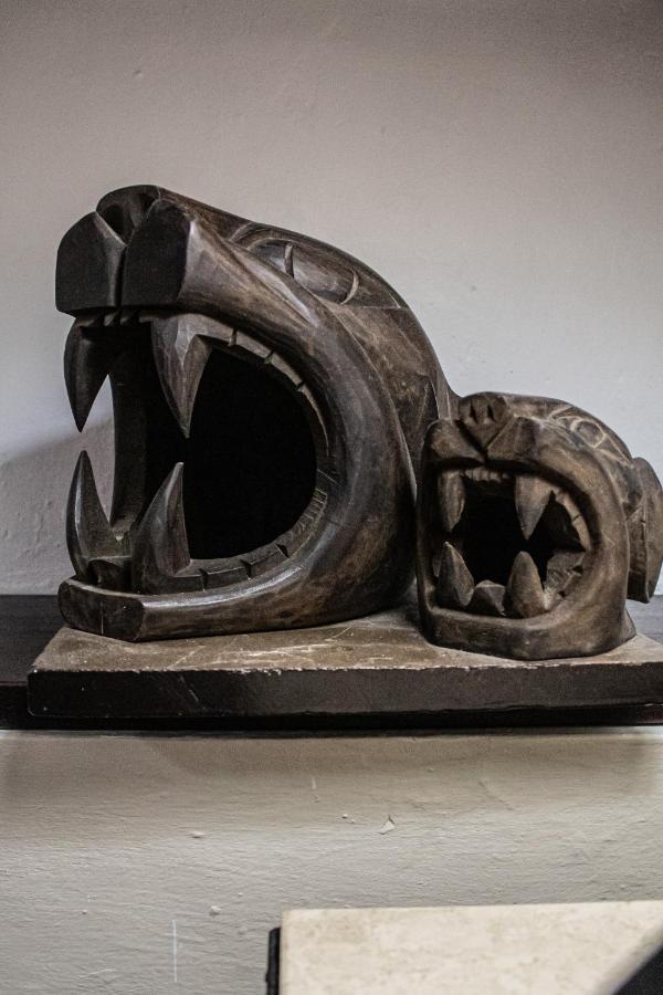 Hotel Casa del Balam Mérida Exterior foto The skull of a male and a female of the extinct saber-toothed cat Amphicyon ingens